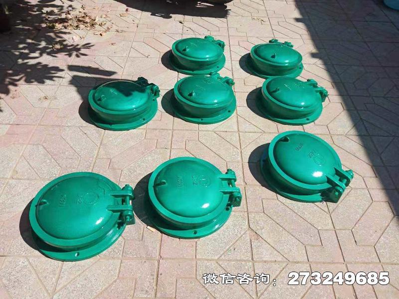 阿城玻璃钢止水拍门