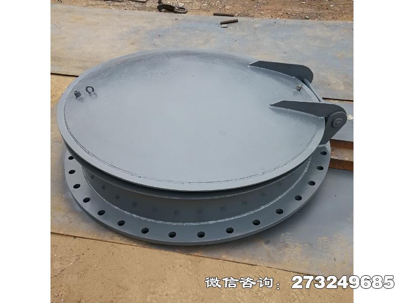 册亨县不锈钢法兰连接拍门