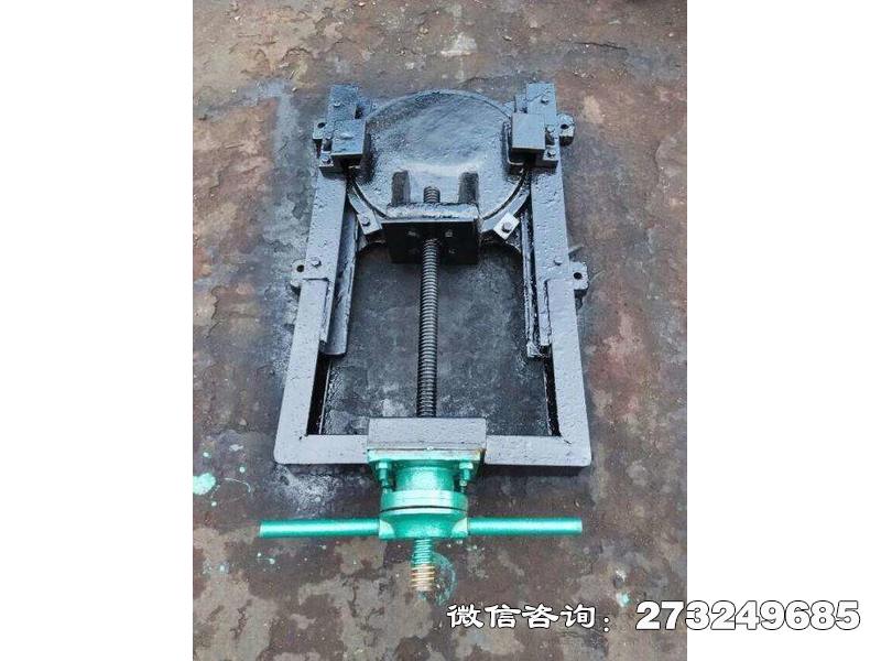 金东启闭机闸门一体机