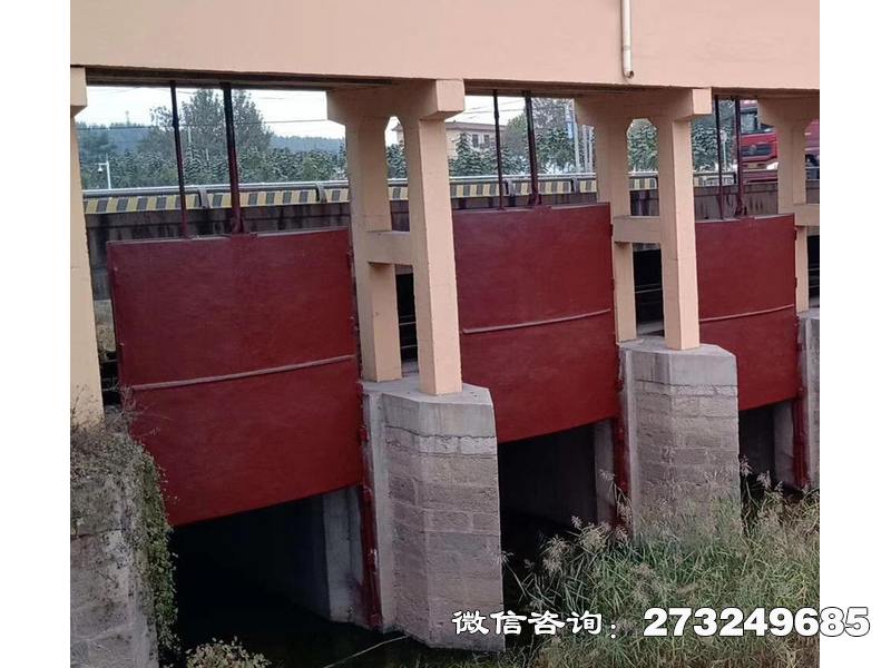 金东水库止水闸门